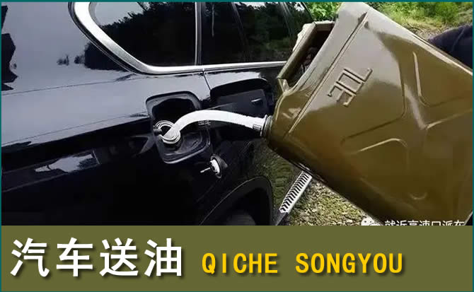 成武汽车救援送水案例